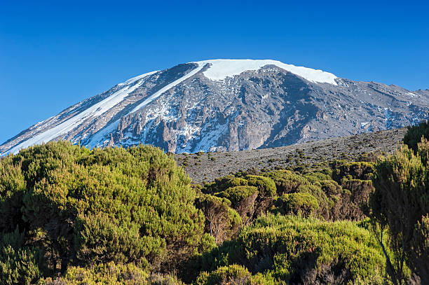 View Of Mount Kilimanjaro